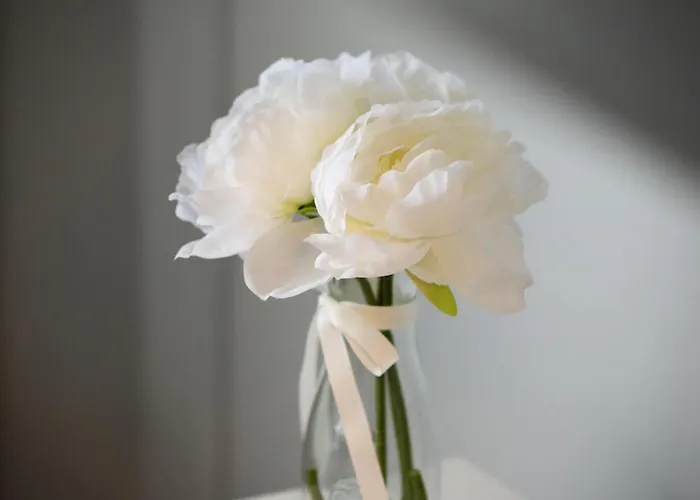 Paradise Tatil Evi Farroupo